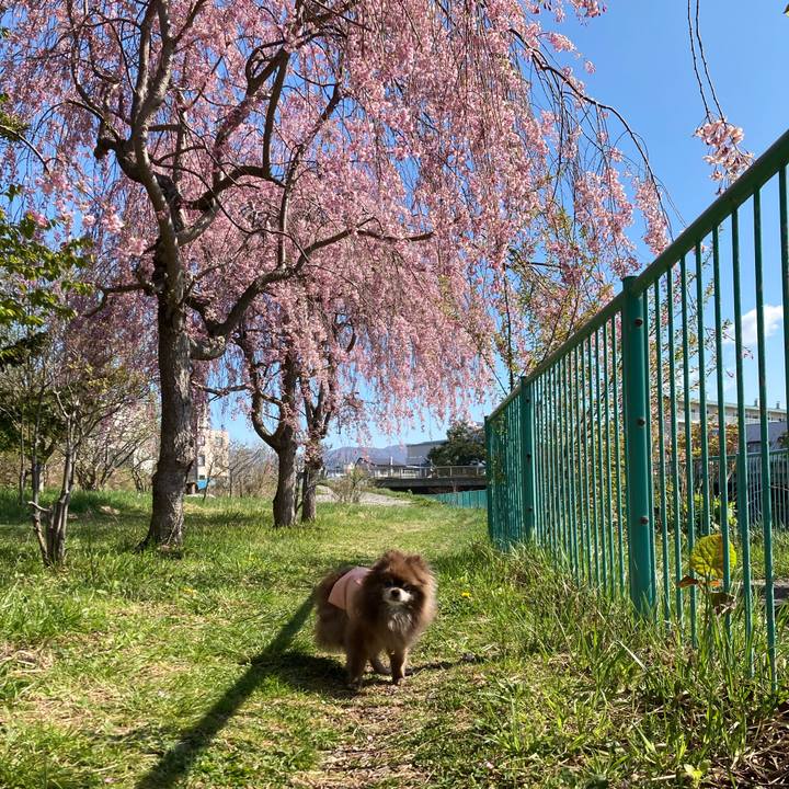 A13f63de 447e 467b a058 dd3ab0aca848 1682567065727