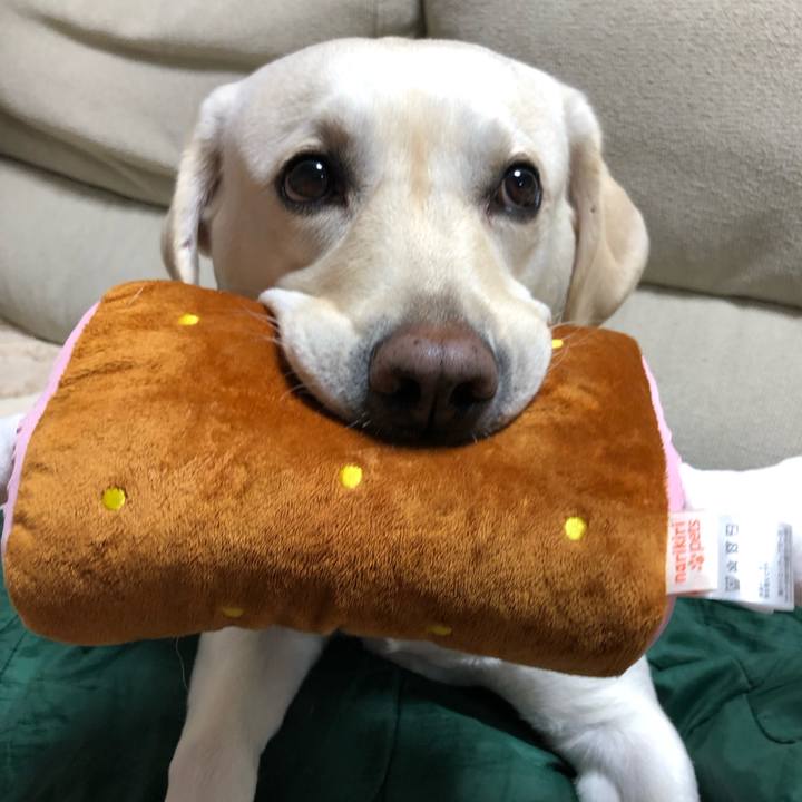 A13f8a4f 1af2 46c5 bc6c 1e8c53fbb2bf 1577011085328