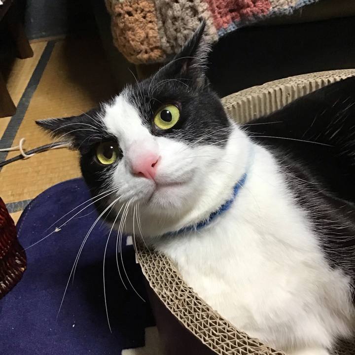 A13fa1bf 9b65 46db adee e7f043a8436d 1704794310231