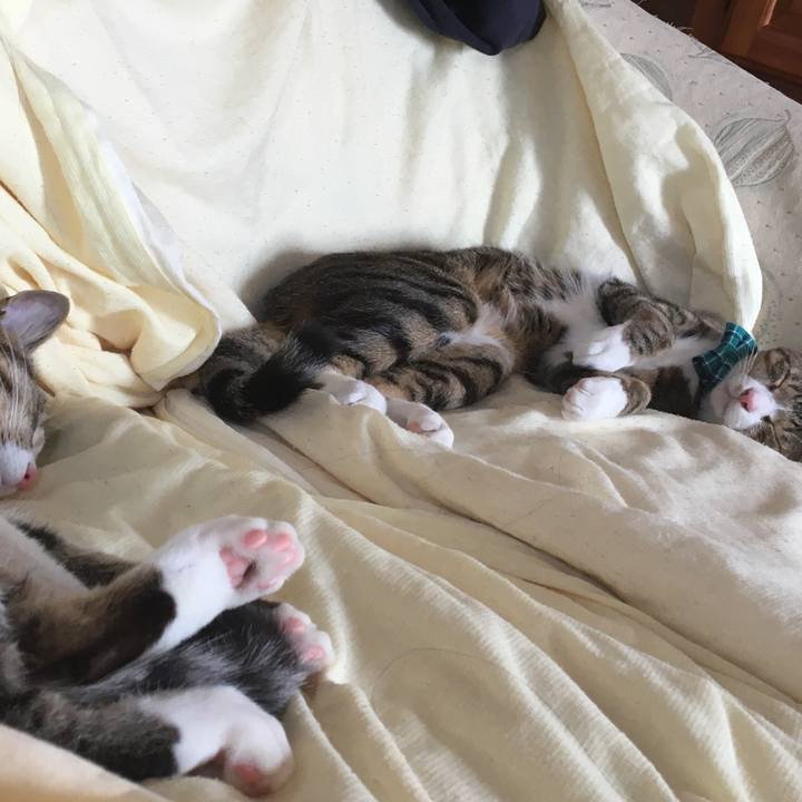 A13fae96 3121 4513 b74f 1537e72b9d5b 1669941328181