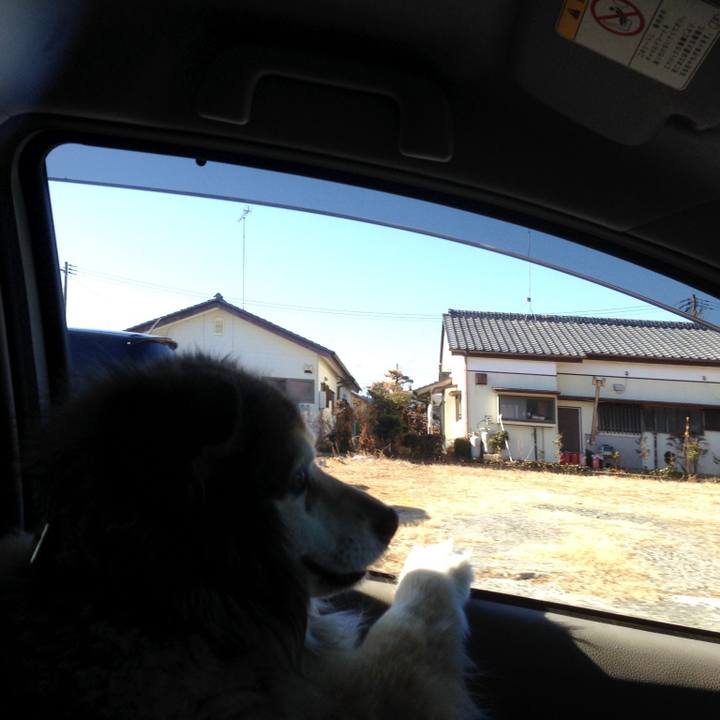 A13fb233 8dbc 44b3 a6b4 64e392b26aa0 1575812432315