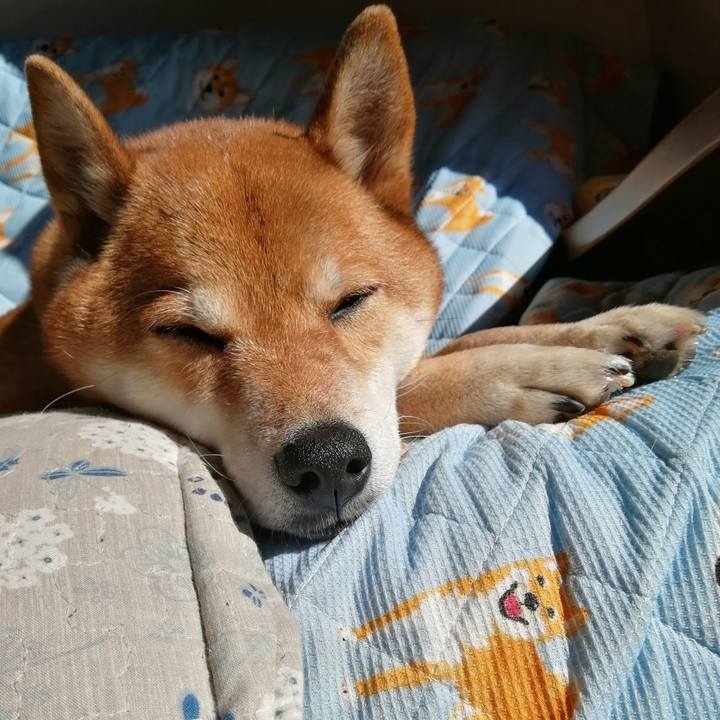 A13ff047 b965 4cb8 8740 c08b81fade42 1612068265683