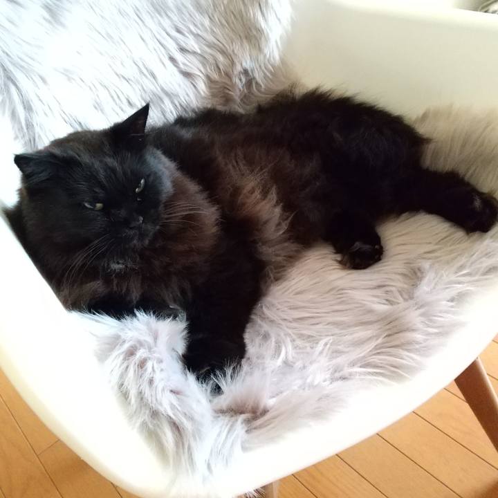 A13ff8f2 128c 4ab0 b76a 5899c2724af1 1611270856878