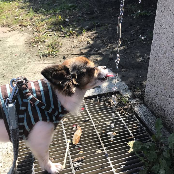 A1400721 b57a 41f1 81ed 3829b0c134c5 1540441096802