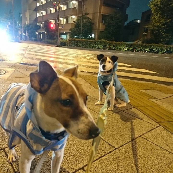 A1400bb0 0c9a 47b4 8109 aa2d01424e9f 1528283834767