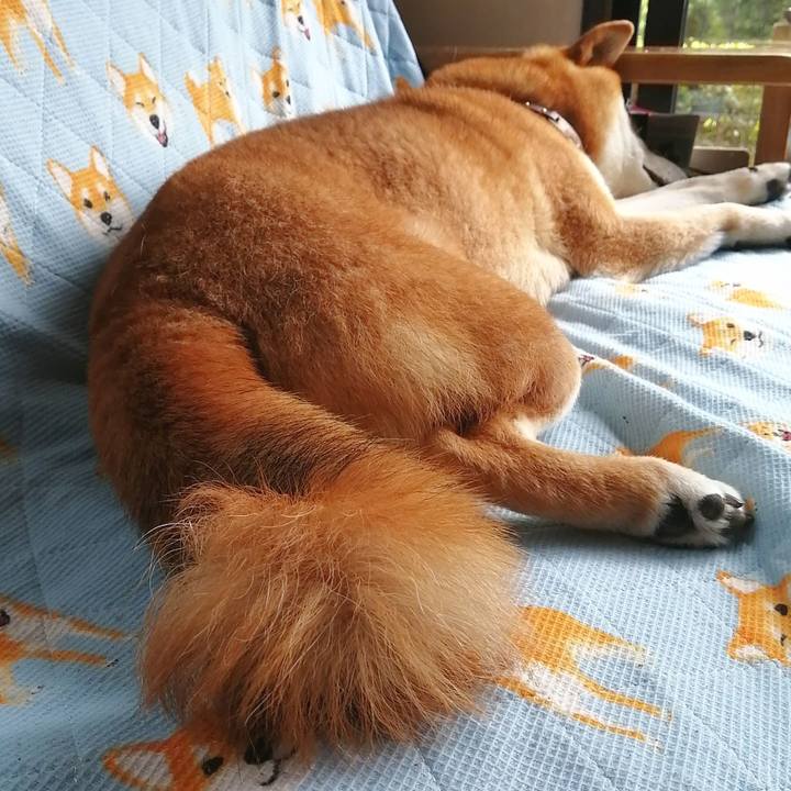 A14054a6 f505 48f4 b9c9 8b40fe0a87ea 1652440401532