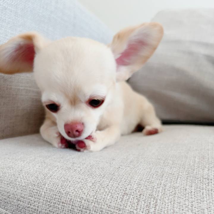 A1405d34 23e8 43cf baee d4f03653dc11 1746054492160