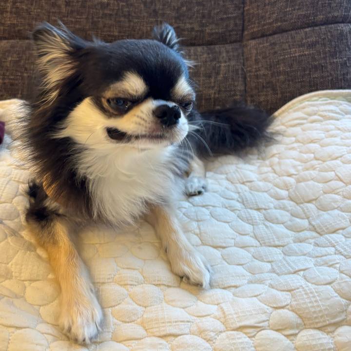 A1408b9e be61 4eb6 979a 95b2bbd0aa2e 1745081276604