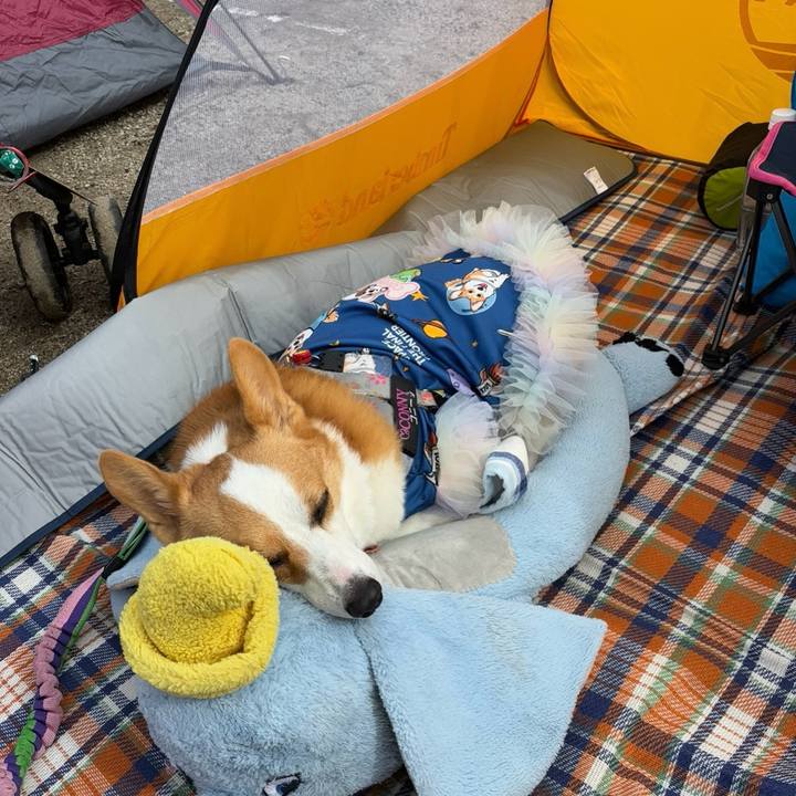 A1409bfa 4641 4d9c b083 aab0a480f207 1760272881829