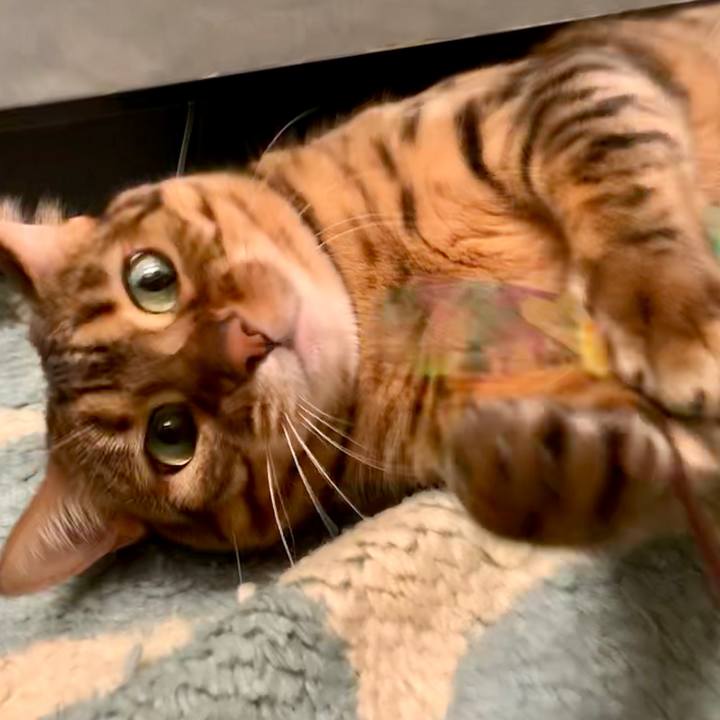 A140c1bd add2 413d b91b 119a68f7ccc9 1550889364399