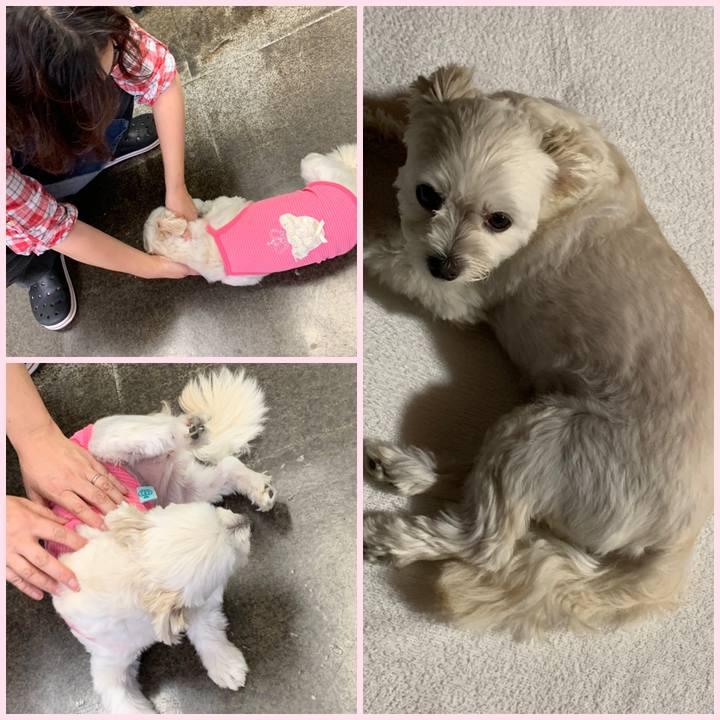 A140c5f8 753d 463a b469 8c9f8b7e9bc9 1569407852236