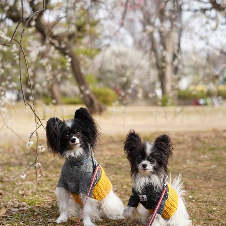 A140e111 7e1d 4676 8ba6 0bd041690077 1647204509298