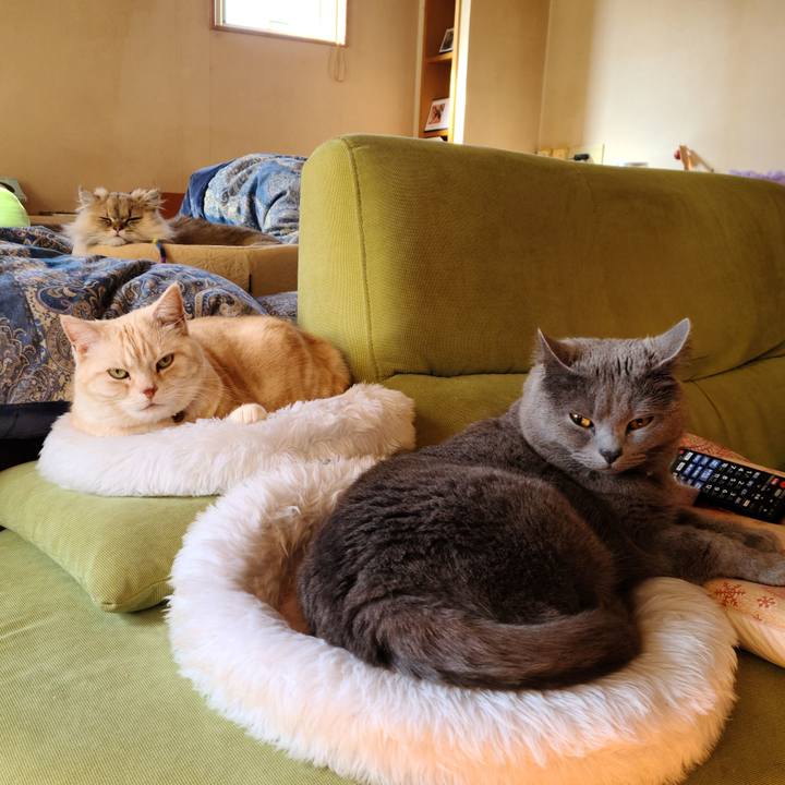 A140e2a2 f981 48f9 9b30 ed92ea6b8be8 1618701861115