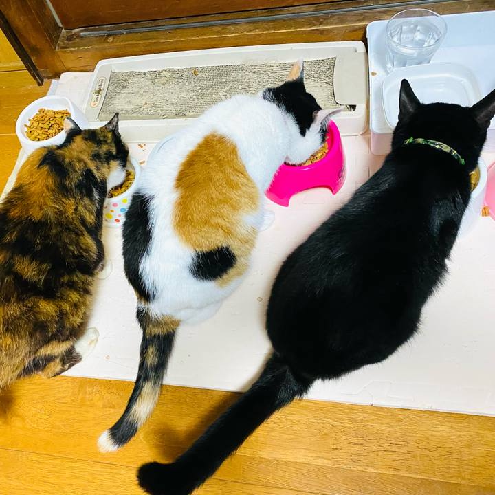 A140e5a2 fd5f 4dc1 8376 e91580363090 1687652642805