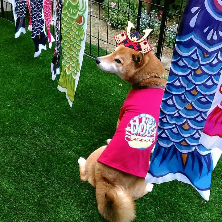 A140e7d6 21ca 4bb8 bb5f 8752d1d01b24 1557052347686