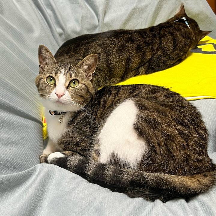 A1410eff 9b1f 4b5c afa1 efd32e454dcd 1732038444788