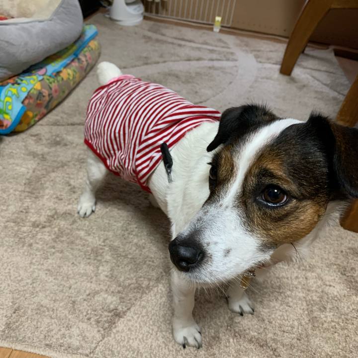 A141247f c265 44ea 9786 02aa745962ea 1604215724792