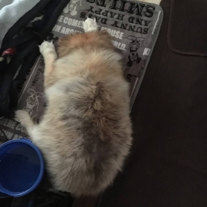 A141273b 7d09 4d16 a4bf f3a9b5de5544 1599088175221