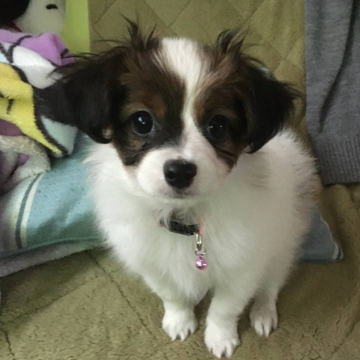 A1413b6f 5e6d 48bd b6bc f699c4e88309 1710894323893