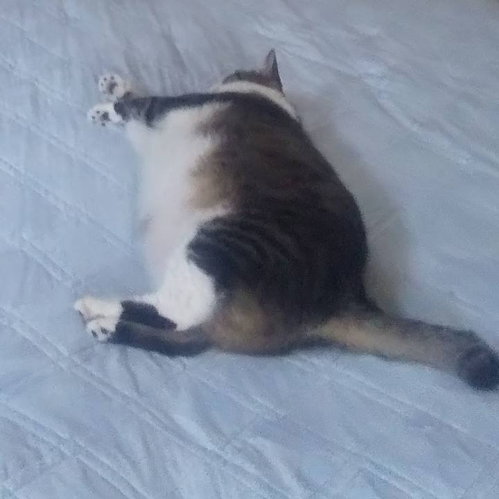 A1414a9d f69f 4e51 a2b9 a8e560ce311e 1698818005087