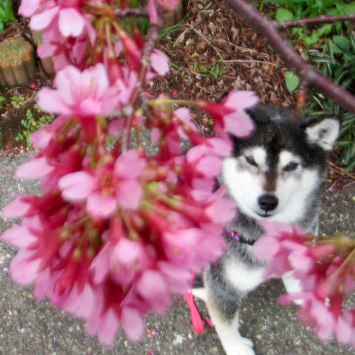 A1419fc2 aeff 4e39 9d5a 554d245a8127 1743811352973