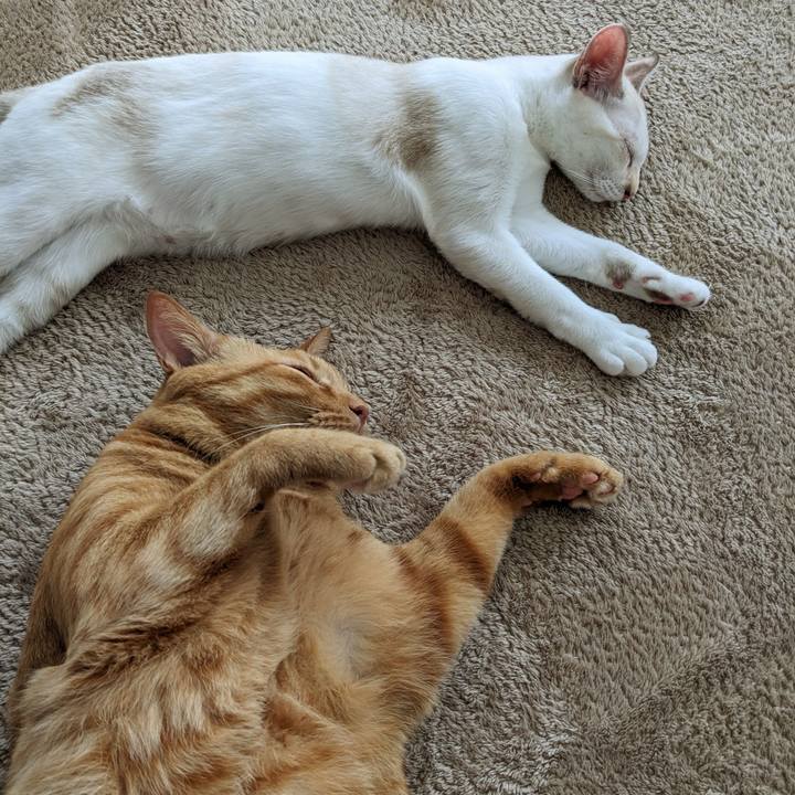 A141d907 d593 413a 9ee8 19481422cd53 1695783835536