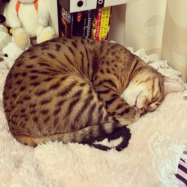 A141f4a2 eac2 4145 a55b 497fae342b51 1571176419242