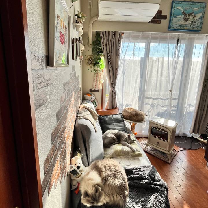 A14216e9 ed36 4ffe b00a 715596ce76f4 1675603478185