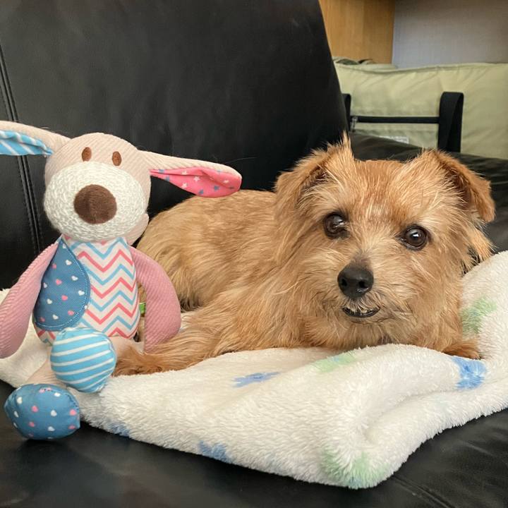 A14226e4 05e1 43be b136 ab24dbc96bbe 1761615310834