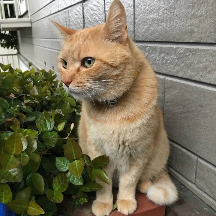 A142533b d85f 439e aa70 85c4bdec210c 1523696743917