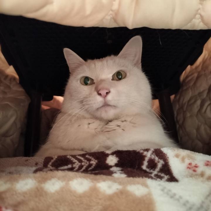 A1426752 8e48 4c9d 80ec fce3cb6584a4 1770128796244