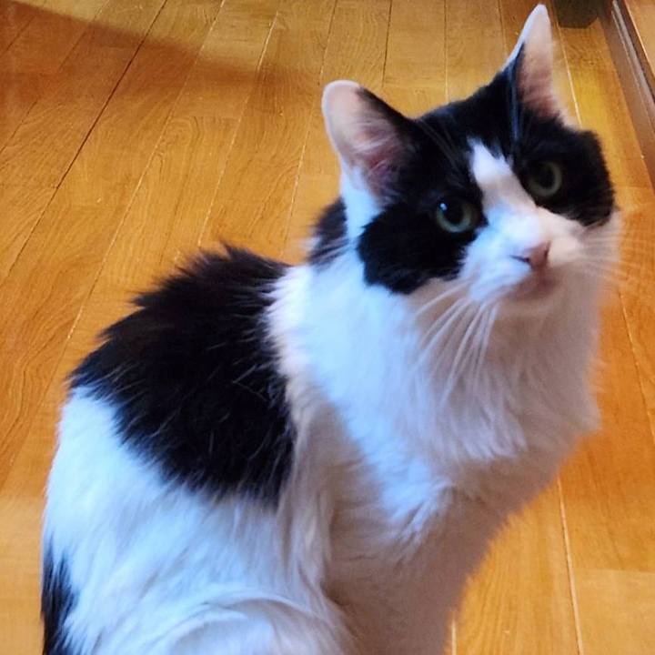 A142747f 2437 4f05 a4c4 c6a93b316ea7 1768340839541