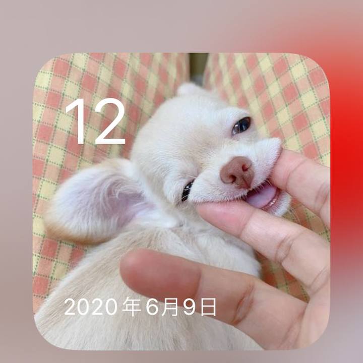 A142bdc2 3ceb 44f8 bb79 ab67db351884 1718193718141