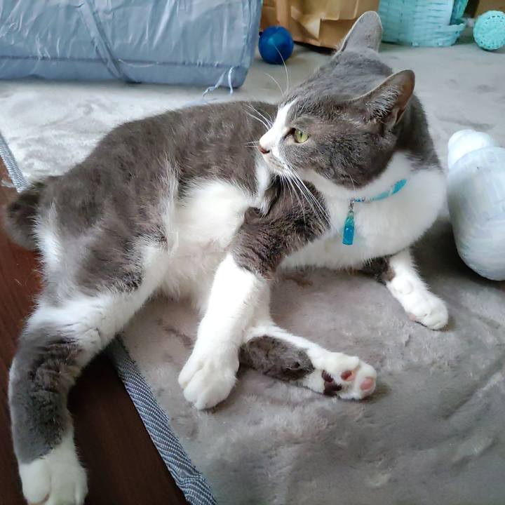 A142c47e 2d61 4781 9688 d4a4eac595f4 1654564458108