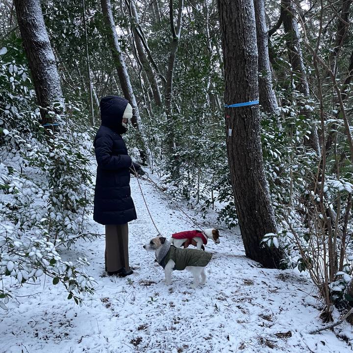 A142d99d 09a4 4e11 a9fb 79c1b5e2b7ee 1640910385800