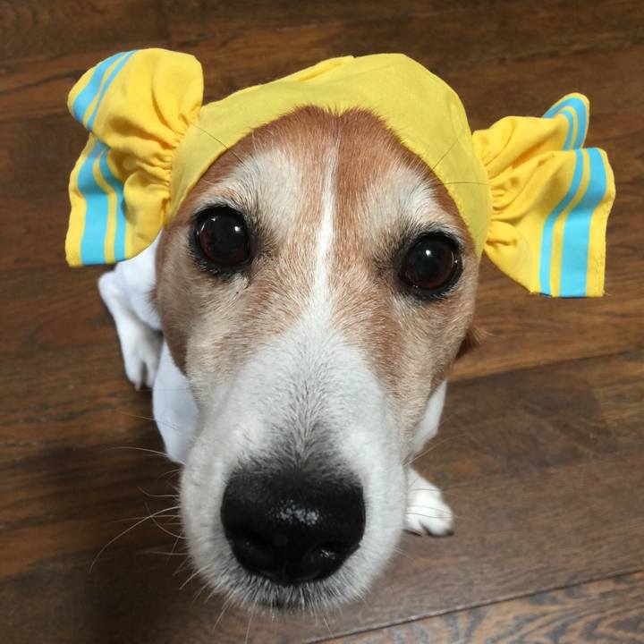 A1431a2a 2548 48d9 af9f 37c03f8baa23 1528809907372