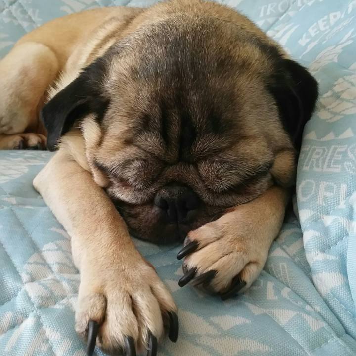 A14332a2 4412 49ba ad8b ec78f317e8d4 1533195051471