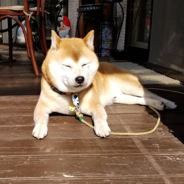 A1436213 74ff 4edb 905c 970b7b1536f5 1588375628999