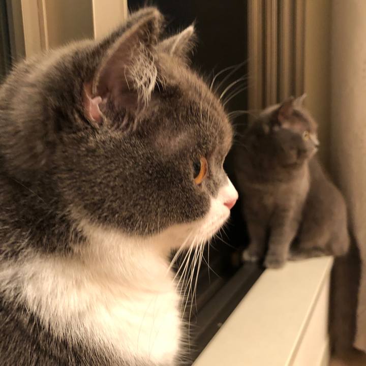 A1436ec6 08ec 42ff 87a0 ea5a705b2455 1526812885309