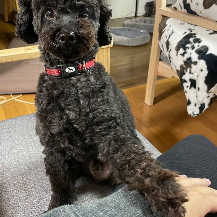 A143a0c7 6efa 4a58 821f b16eed040f67 1636182101157