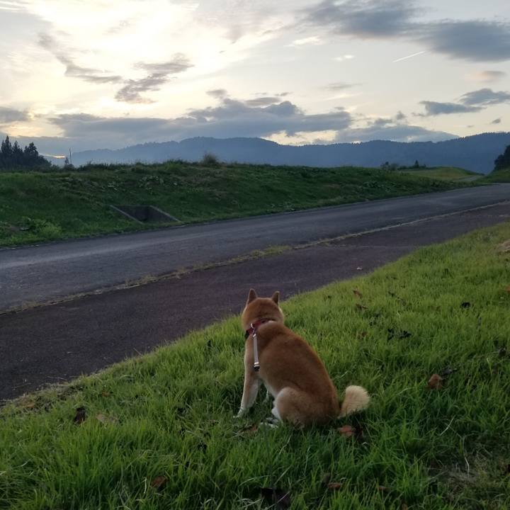 A143af57 3267 4b44 95d2 9b621999ef3e 1728979253808