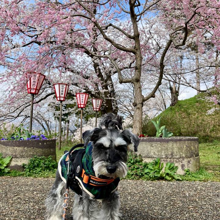 A143ddc9 aaae 4f24 a921 f24005e182b5 1745130284770