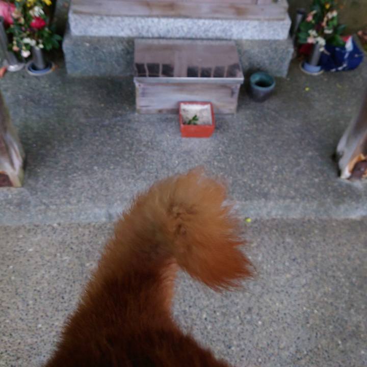 A143eba1 fb9a 4bd4 af92 cfe305400891 1763156077870