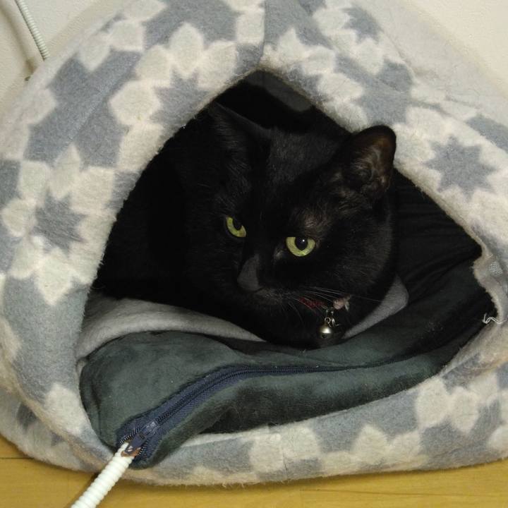 A143fbed 7961 4e5f a0e3 269ace1b0f87 1762468614358