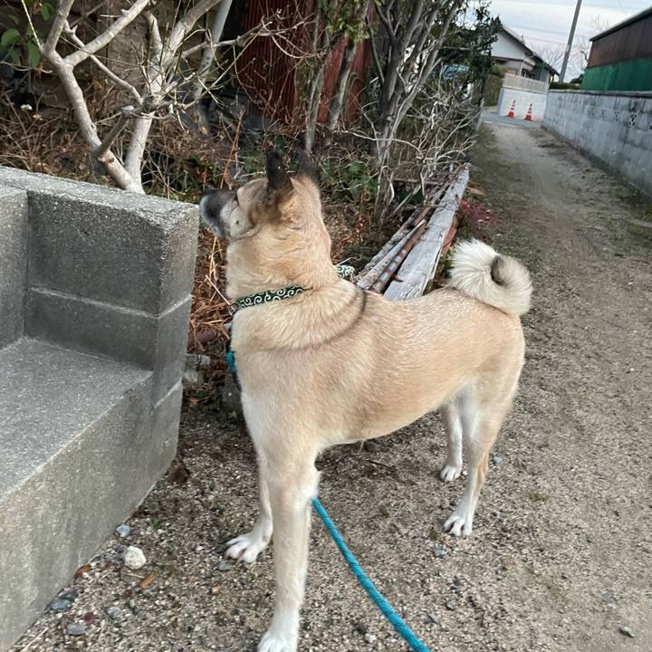 A1440184 a642 4283 80ed 8e90b4187f16 1675945090246