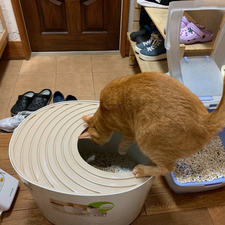 A1440421 a2ef 4018 a056 139a24271782 1562761302385