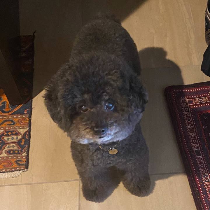 A1440be0 5aa9 4f36 b1f9 efce853f19bf 1633246676821