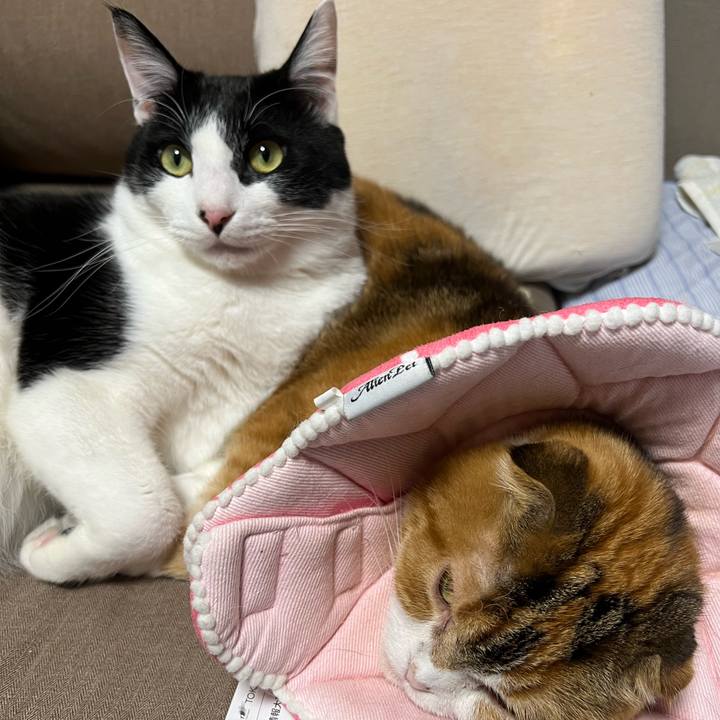 A14425db deed 4ec2 9430 34eb43c76bb5 1644590679259