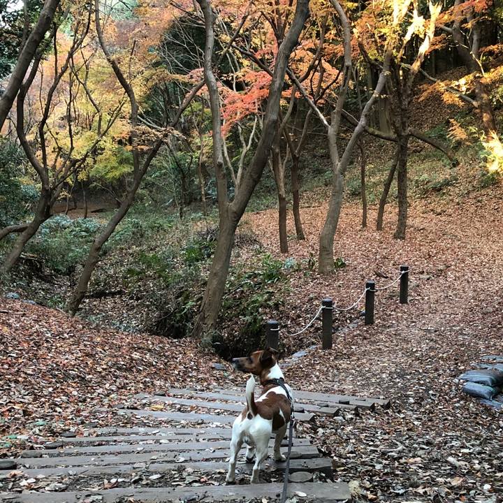 A1444ed2 6fa1 4437 87e3 f2caa635b55f 1512687975399