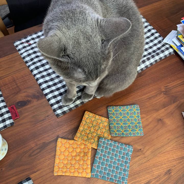 A1445345 0dad 41ce bab3 7b1fe288f312 1667095789943